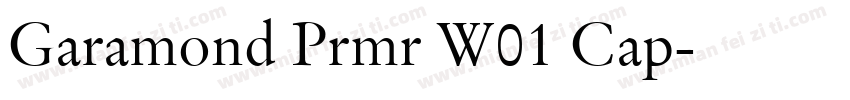 Garamond Prmr W01 Cap字体转换